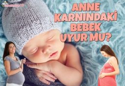 Anne Karnındaki Bebek Uyur Mu?